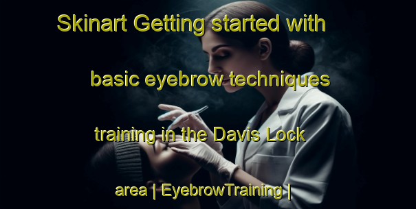 Skinart Getting started with basic eyebrow techniques training in the Davis Lock area | EyebrowTraining | EyebrowClasses | SkinartTraining-Canada